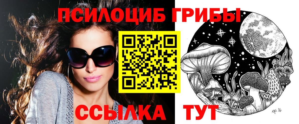 Псилоцибиновые грибы GOLDEN TEACHER Пугачёв